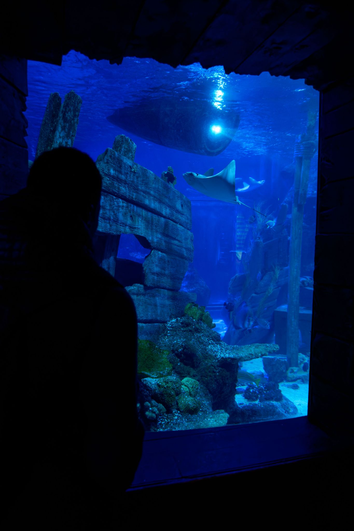 Alton Towers Scarefest